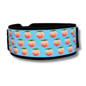 Ceinture Haltérophilie Crossfit Pêche Reborn